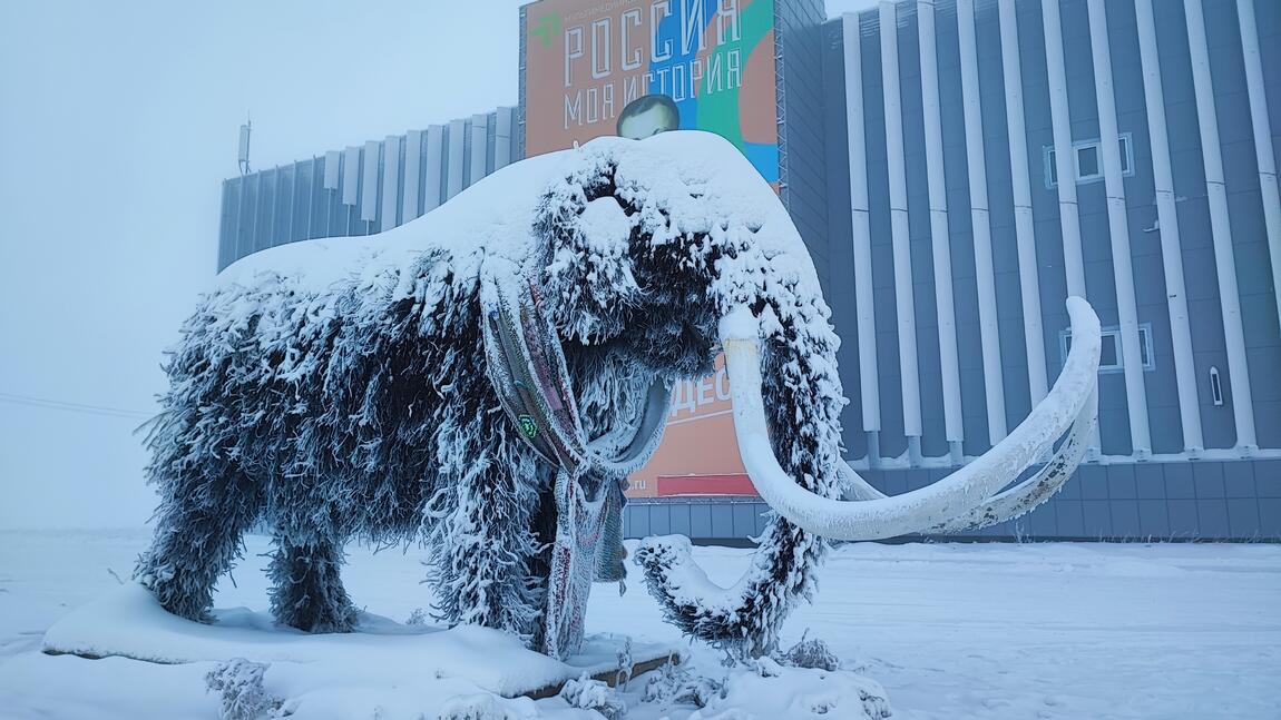 «Зимние забавы» и «Досуг с музеем»: праздничные программы в Историческом парке