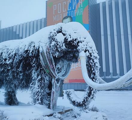 «Зимние забавы» и «Досуг с музеем»: праздничные программы в Историческом парке